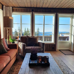 New cabin at Lifjell perfectly located for hiking with sauna and ski-in/ski-out